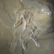Illustration for article titled South Korea will remove evolution from its high school textbooks
